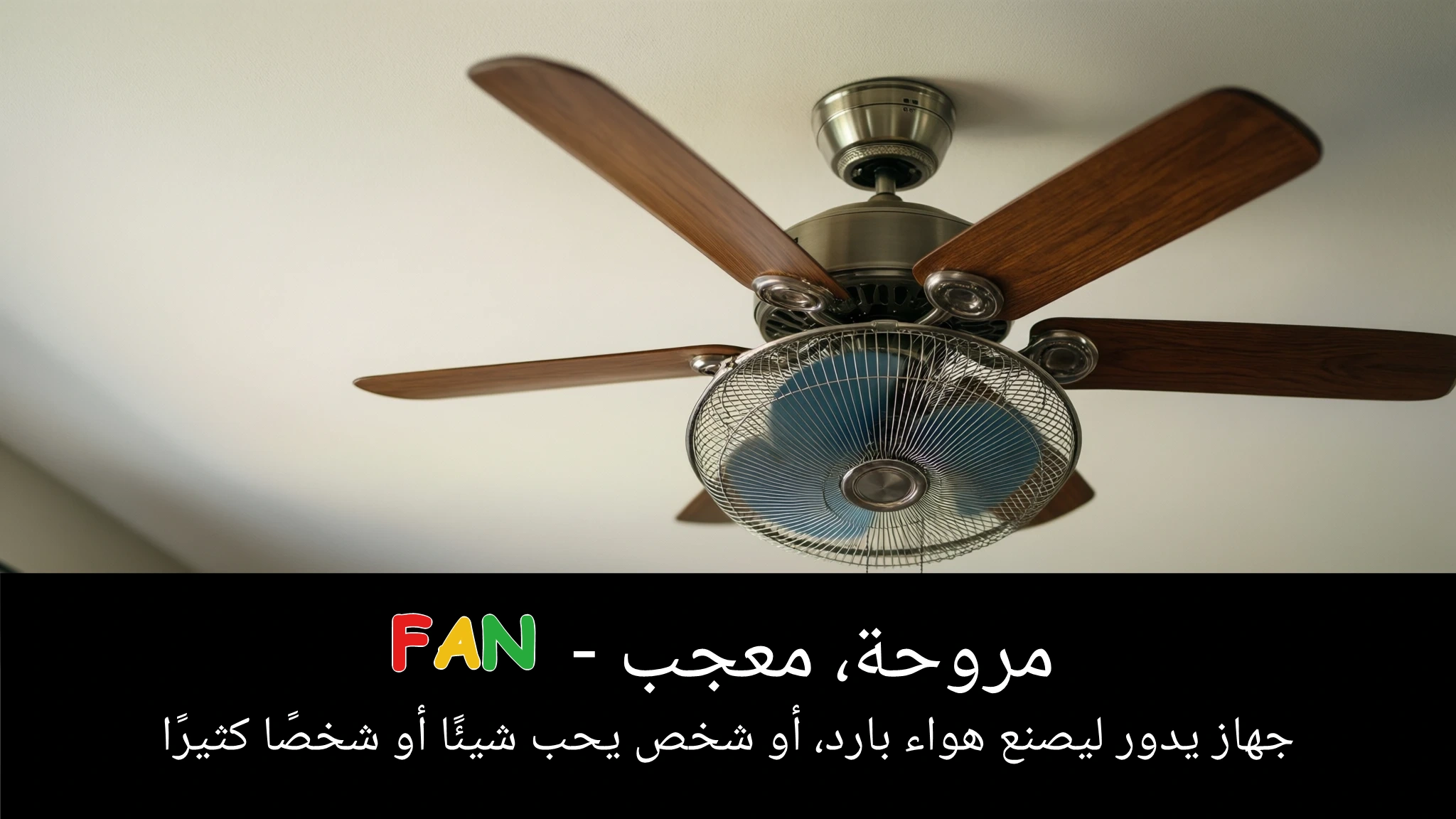 Arabic Illustration for fan